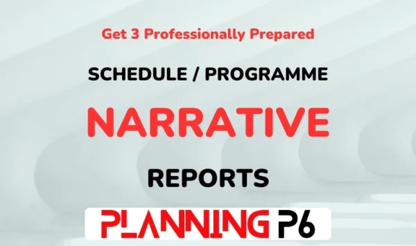 Schedule Narrative Report